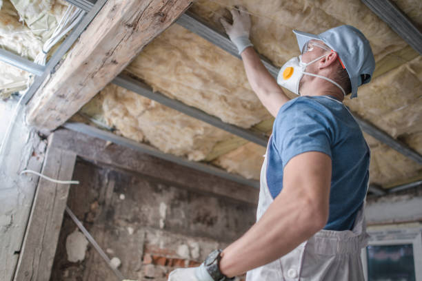 Best Insulation Maintenance and Repair in Foster City, CA